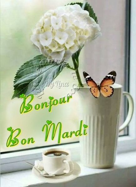 0f585c9b401d5646fc3e09a40b97ae48