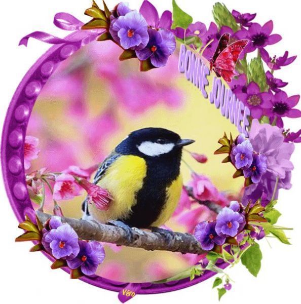 13624_293625040761164_5290800754282478769_n