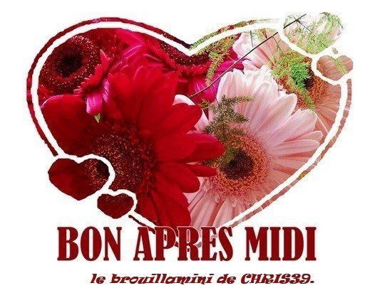 555528_414024008643865_2057849350_n