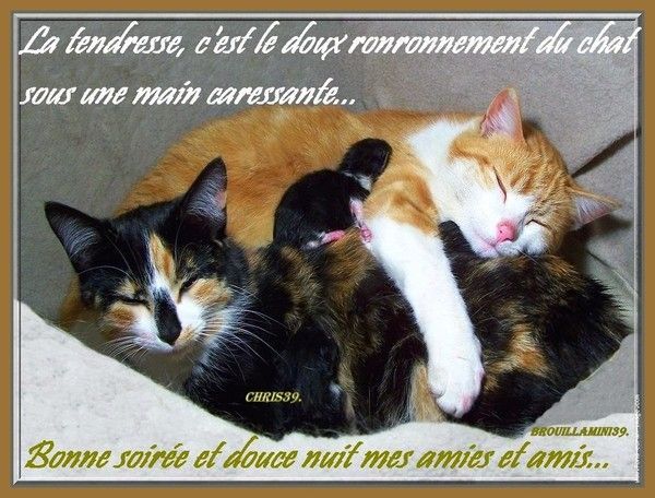  ma créa ..faites de beaux rêves,