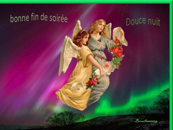 bonne soirée,bonne nuit