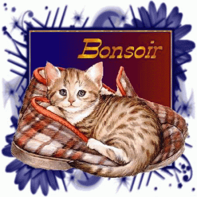 bloggif_597e153983f47_CHRIS